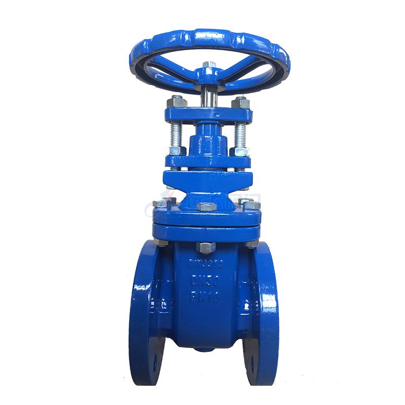 DIN Cast Iron Non Rising-Stem Gate Valve