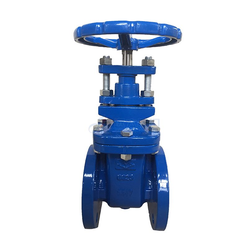 DIN Cast Iron Non Rising-Stem Gate Valve