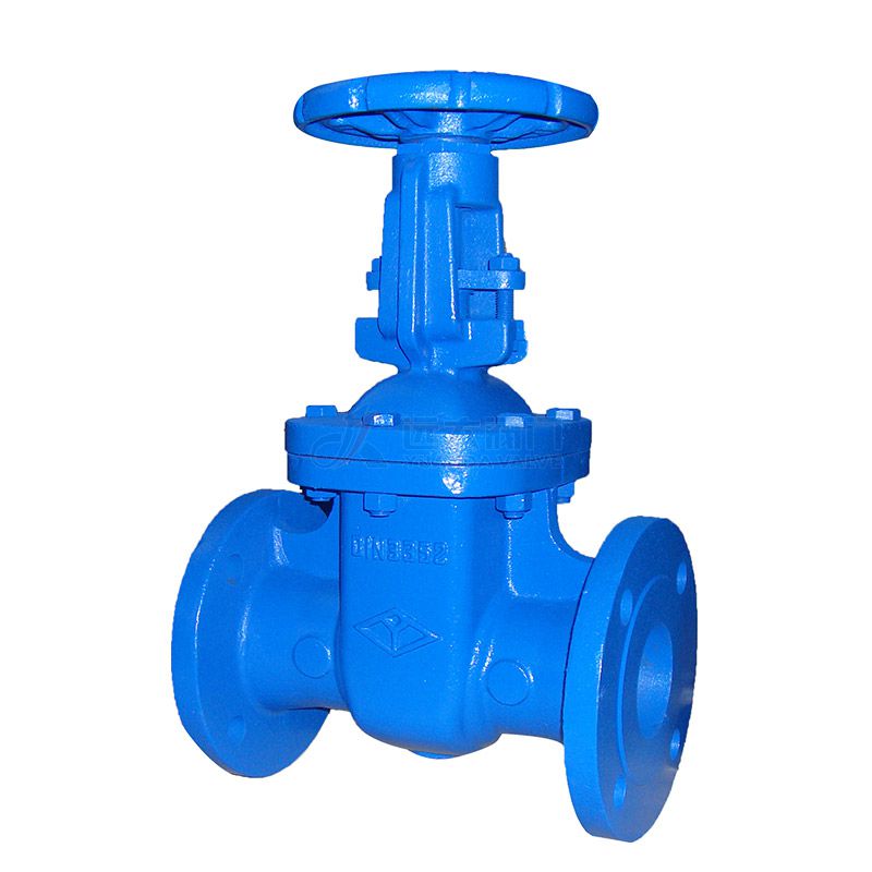 DIN F5 Cast Iron Rising-Stem Gate Valve