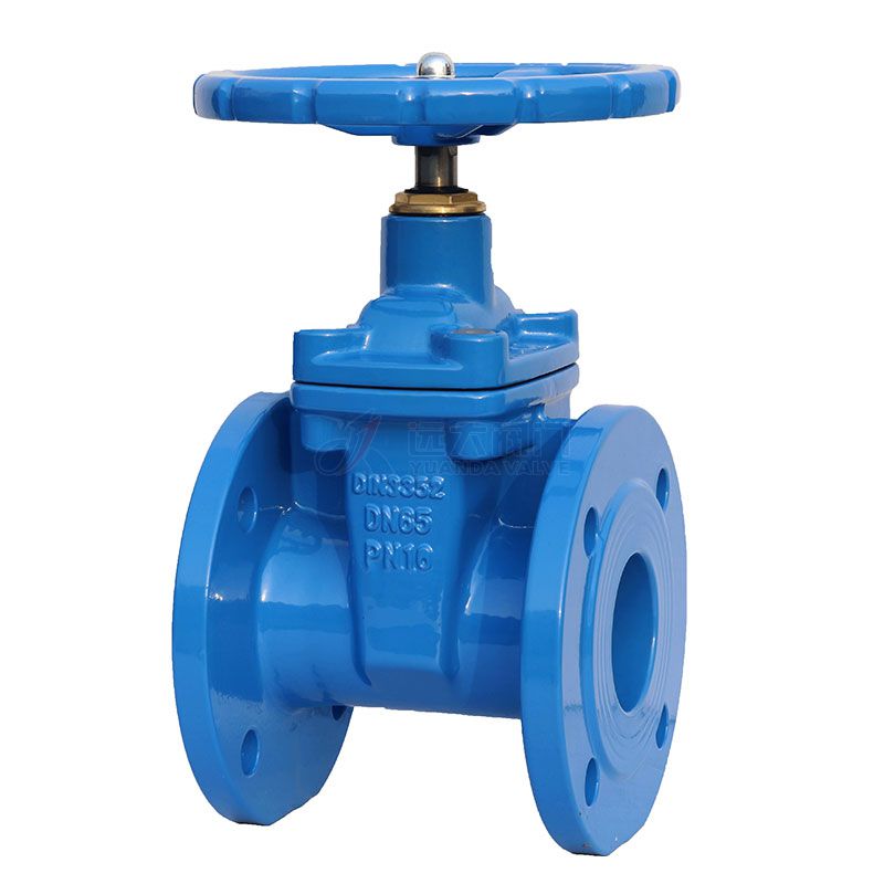 DIN Cast Iron Resilient Sested Non Rising-Stem Gate Valve