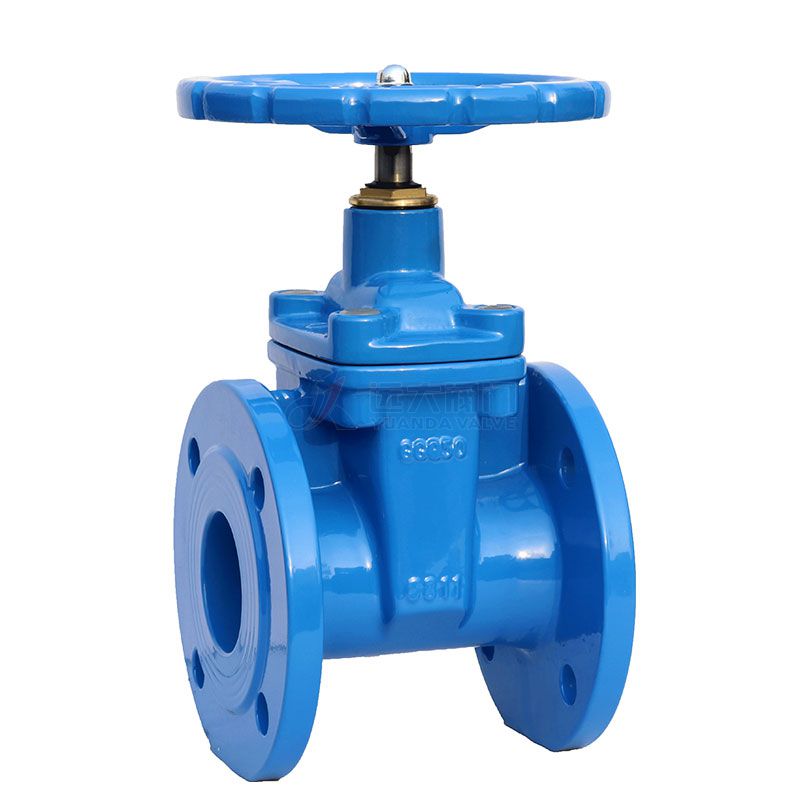 DIN Cast Iron Resilient Sested Non Rising-Stem Gate Valve