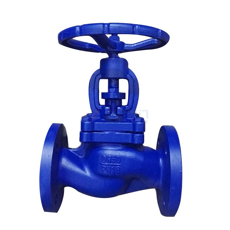 DIN Cast Iron Globe Valve Type B