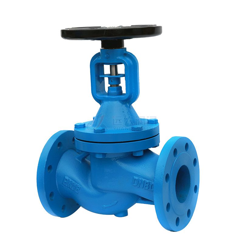 DIN Cast Iron Bellows Globe Valve