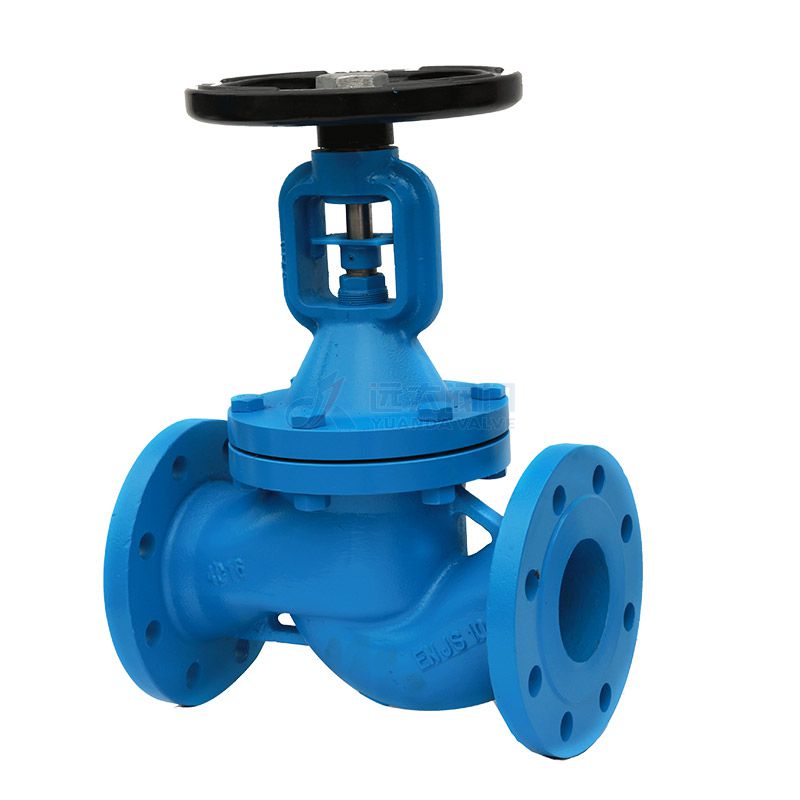 DIN Cast Iron Bellows Globe Valve