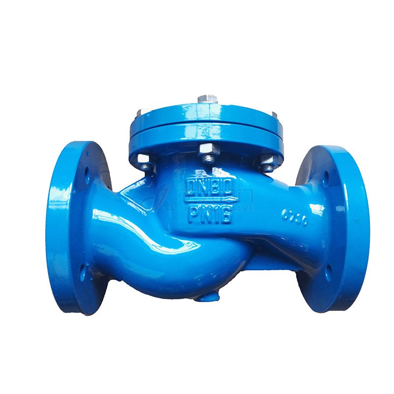 DIN Cast Iron check valve