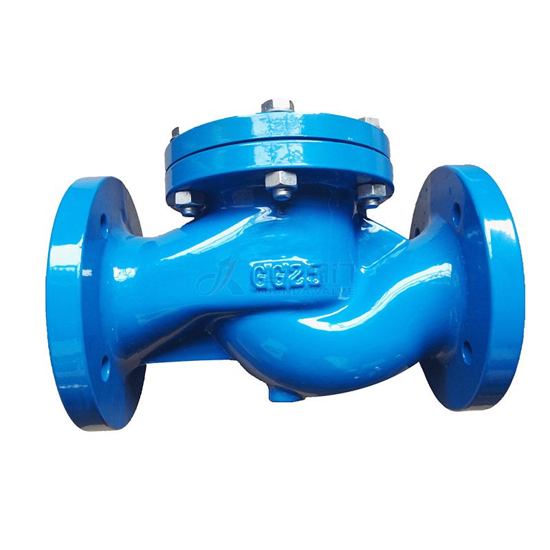 DIN Cast Iron check valve