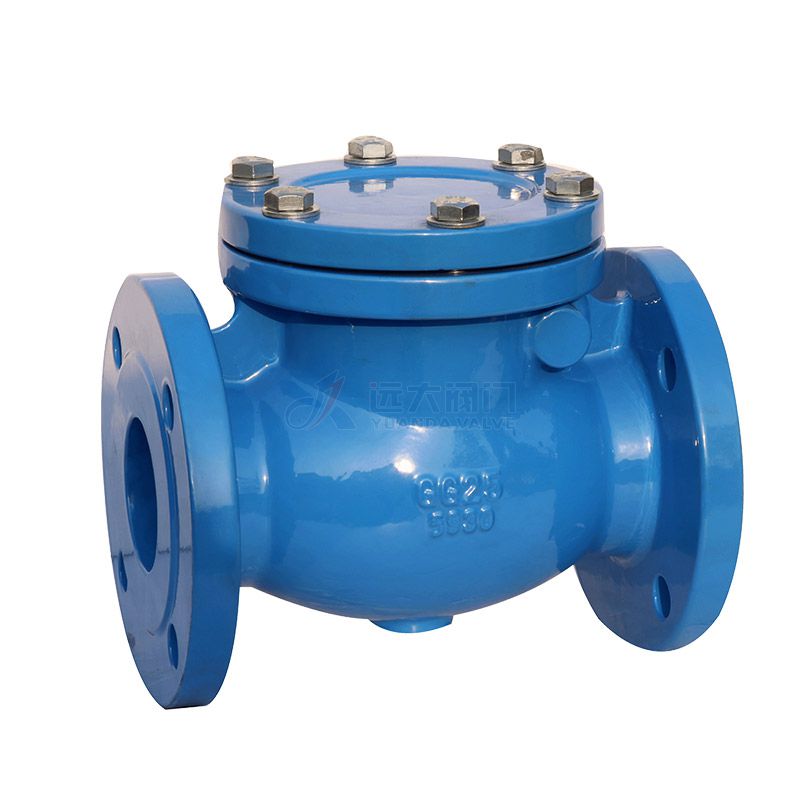 DIN Cast Iron check valve H44H-16