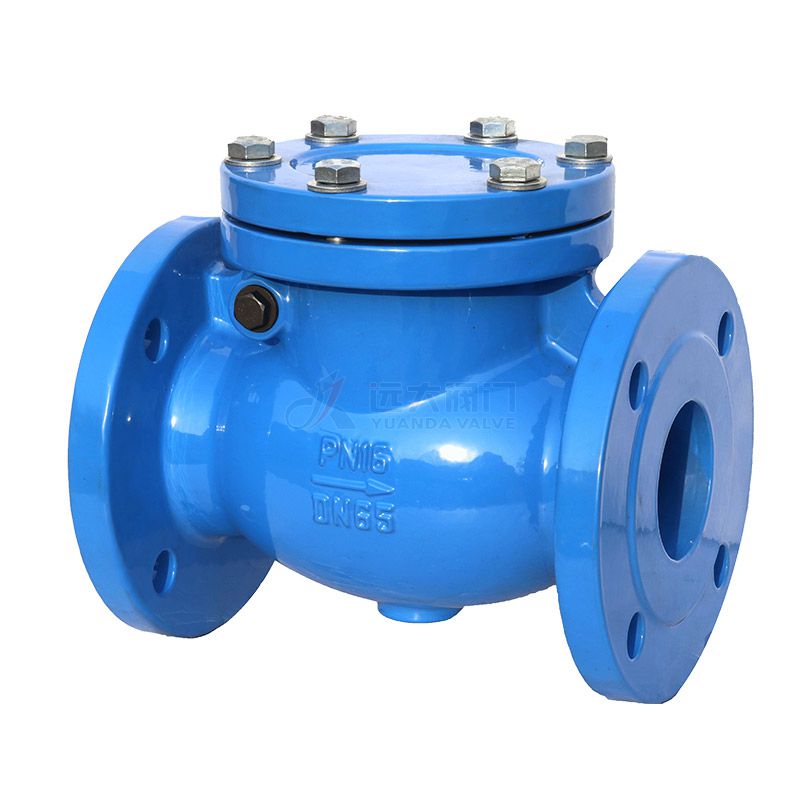 DIN Cast Iron check valve H44H-16