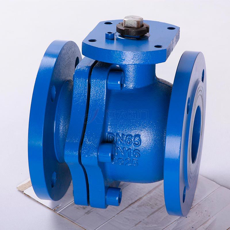 DIN Cast Iron check valve Q41F-16
