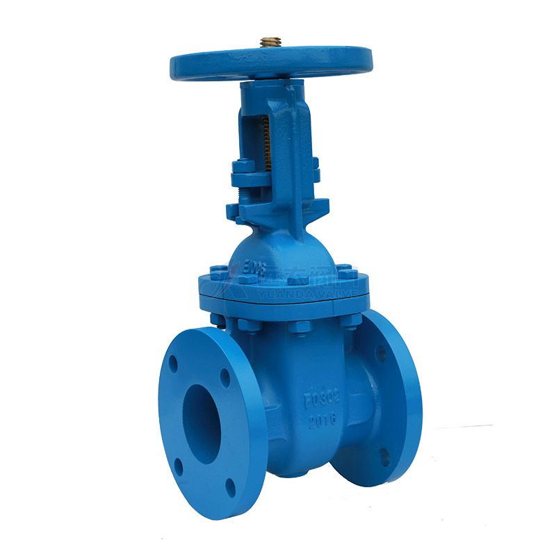 ANSI Cast Iron Rising Stem Gate Valve