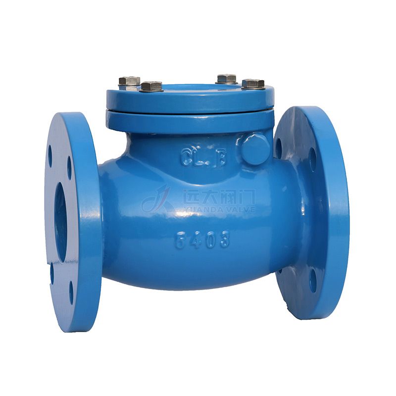 ANSI Cast Iron Swing Check Valve