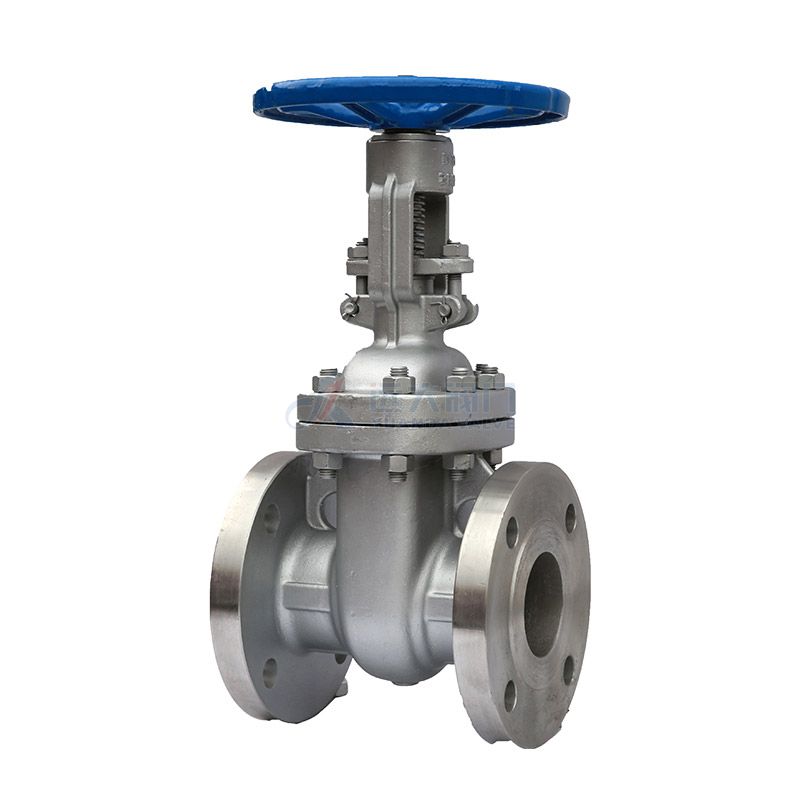 API Stainless Steel Gate Valve