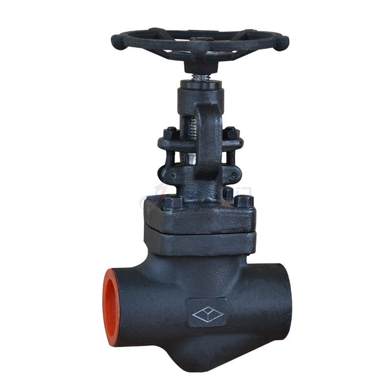 API602 Forged steel Globe valve 800#