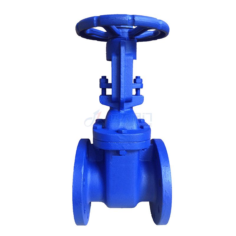 BS5163 Cast Iron Rising Stem Gate Valve