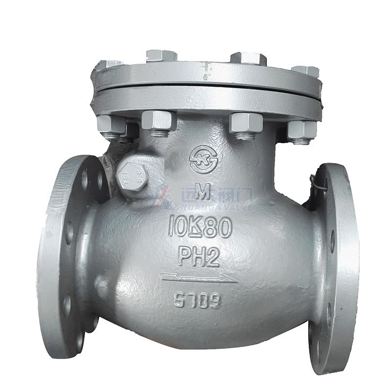 10K/20K Cast Steel Swing Check Valve