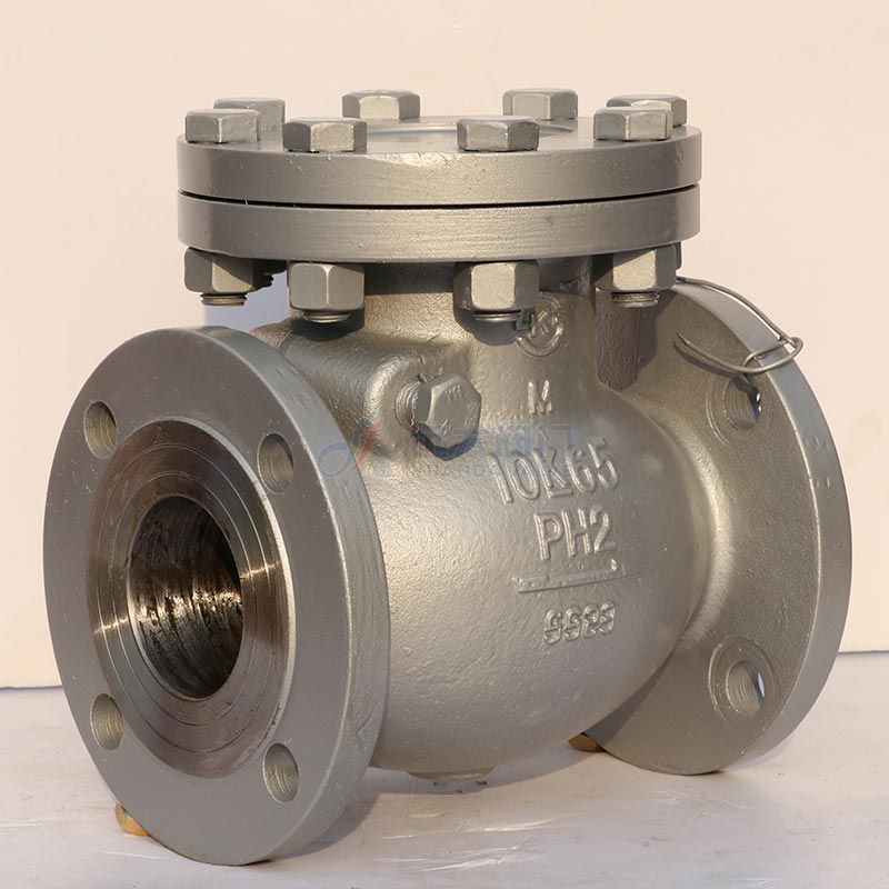 10K/20K Cast Steel Swing Check Valve