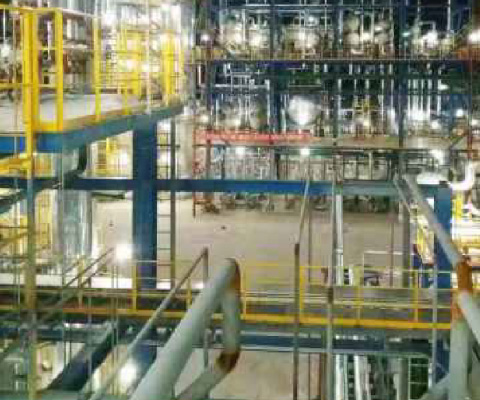 Ningxia Baofeng Energy Group Co., Ltd.