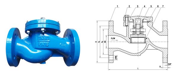 DIN Cast Iron check valve