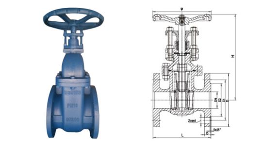 BS5163 Cast Iron Non-rising Stem Gate Valve